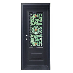 Exterior Wrought Iron Single Entry Door with Double Operable Insulation Glass, Top-rated, HAD2340