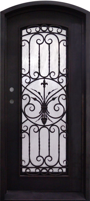 Exterior Wrought Iron Single Entry Door with Double Operable Insulation Glass, Top-rated, HAS027