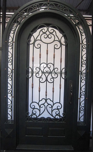 Exterior Wrought Iron Single Entry Door with Double Operable Insulation Glass, Top-rated, HAS0902