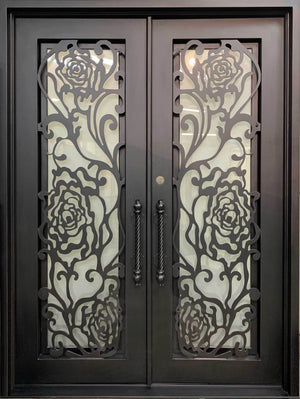 Exterior Wrought Iron Double Entry Door with Double Operable Insulation Glass, HAD2312