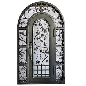 Exterior Wrought Iron Single Entry Door with Double Operable Insulation Glass, Top-rated, HAD2329