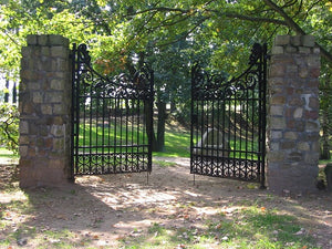 Custom Security Iron Gate,HGI0079